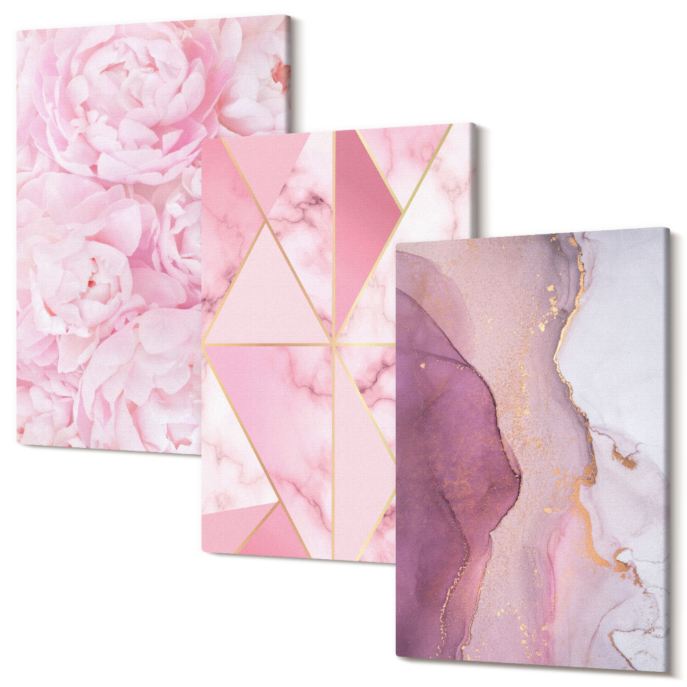Sada 3 obrazov Ružové kvety pivonky geometrické vzory