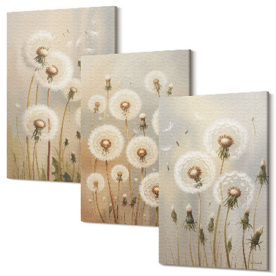 Sada obrazov triptych Biele púpavy na pozadí jasných farieb