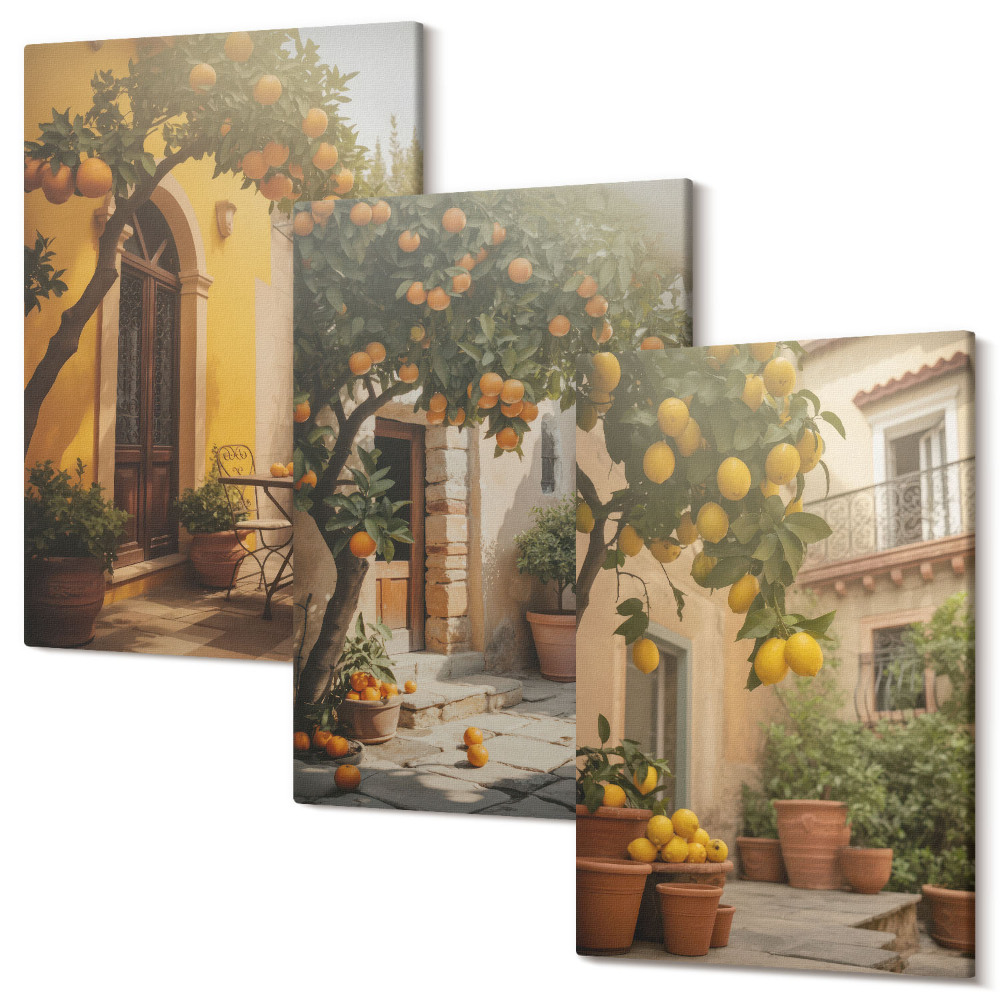Sada obrazov triptych Slnečná terasa s citrusovými stromami a kvetináčmi