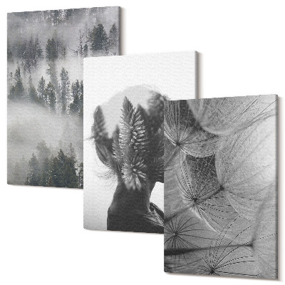 Sada obrazov triptych Portrét les v hmle so stromami jemná púpava