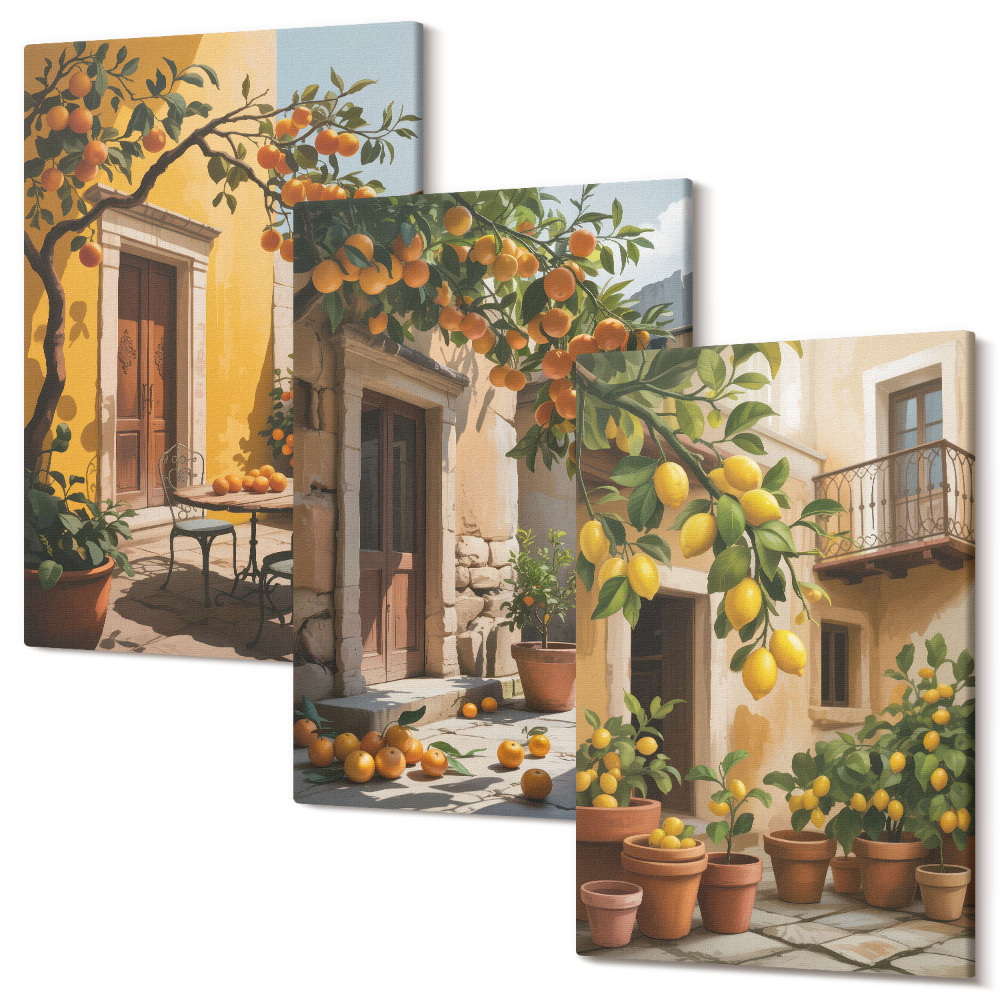 Sada obrazov na stenu triptych Citrusové plody na slnečnom dvore s rastlinami