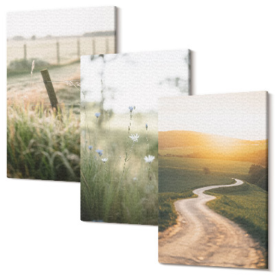 Sada obrazov na stenu triptych Krajina s lúkou, cestou a západom slnka