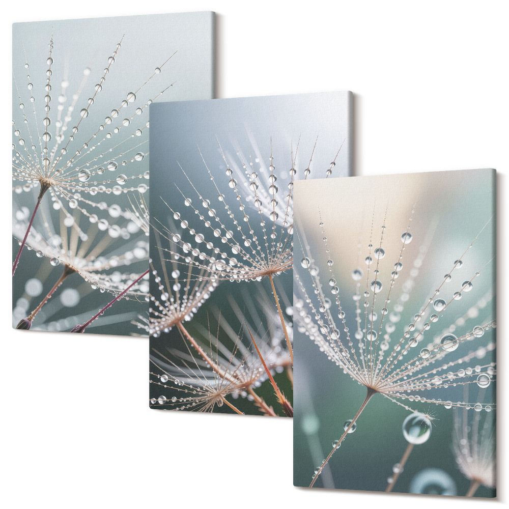 Sada obrazov na stenu triptych Kvapky vody na jemných výhonkoch púpav
