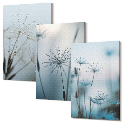 Sada obrazov triptych Jemné púpavy s kvapkami vody
