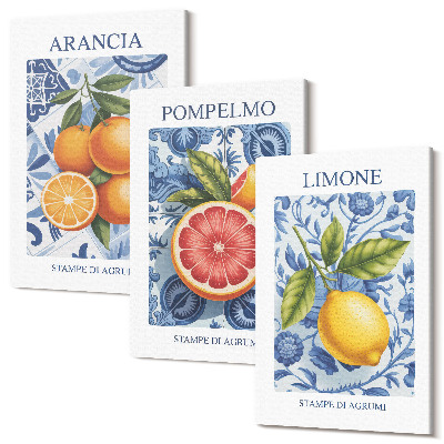 Sada obrazov na stenu triptych Vintage ilustrácie citrusových plodov