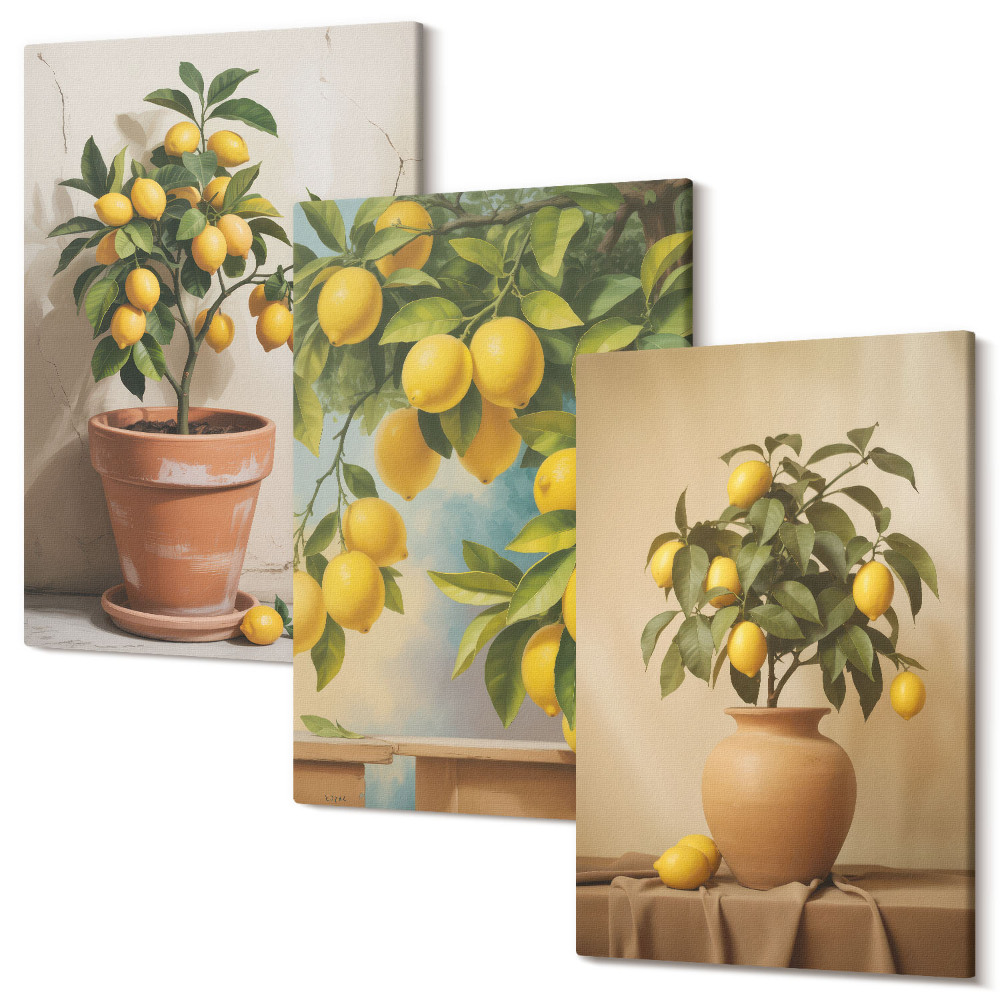 Sada obrazov triptych Citrónové stromy v kvetináčoch a vázach