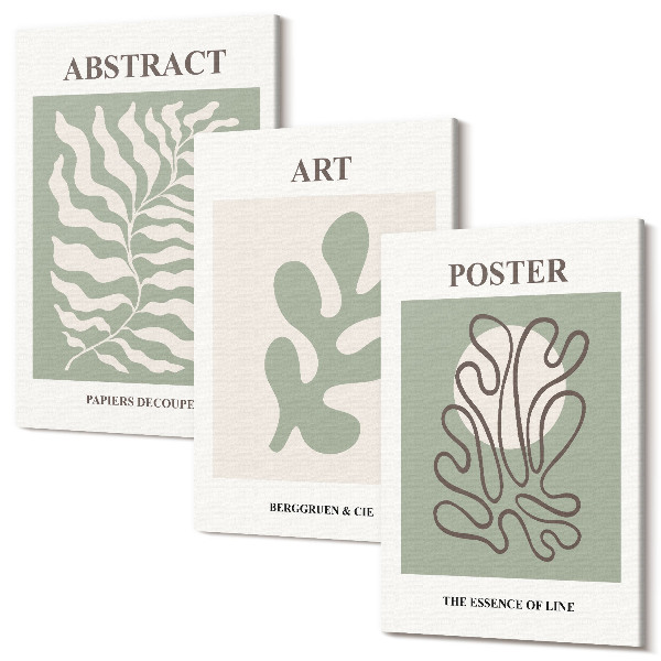 Sada obrazov na stenu triptych Plagáty s kvetinovými vzormi od Henri Matisse