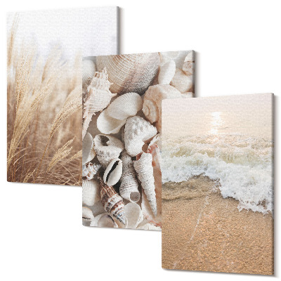 Sada obrazov na stenu triptych Plážové motívy s mušľami a morskými vlnami