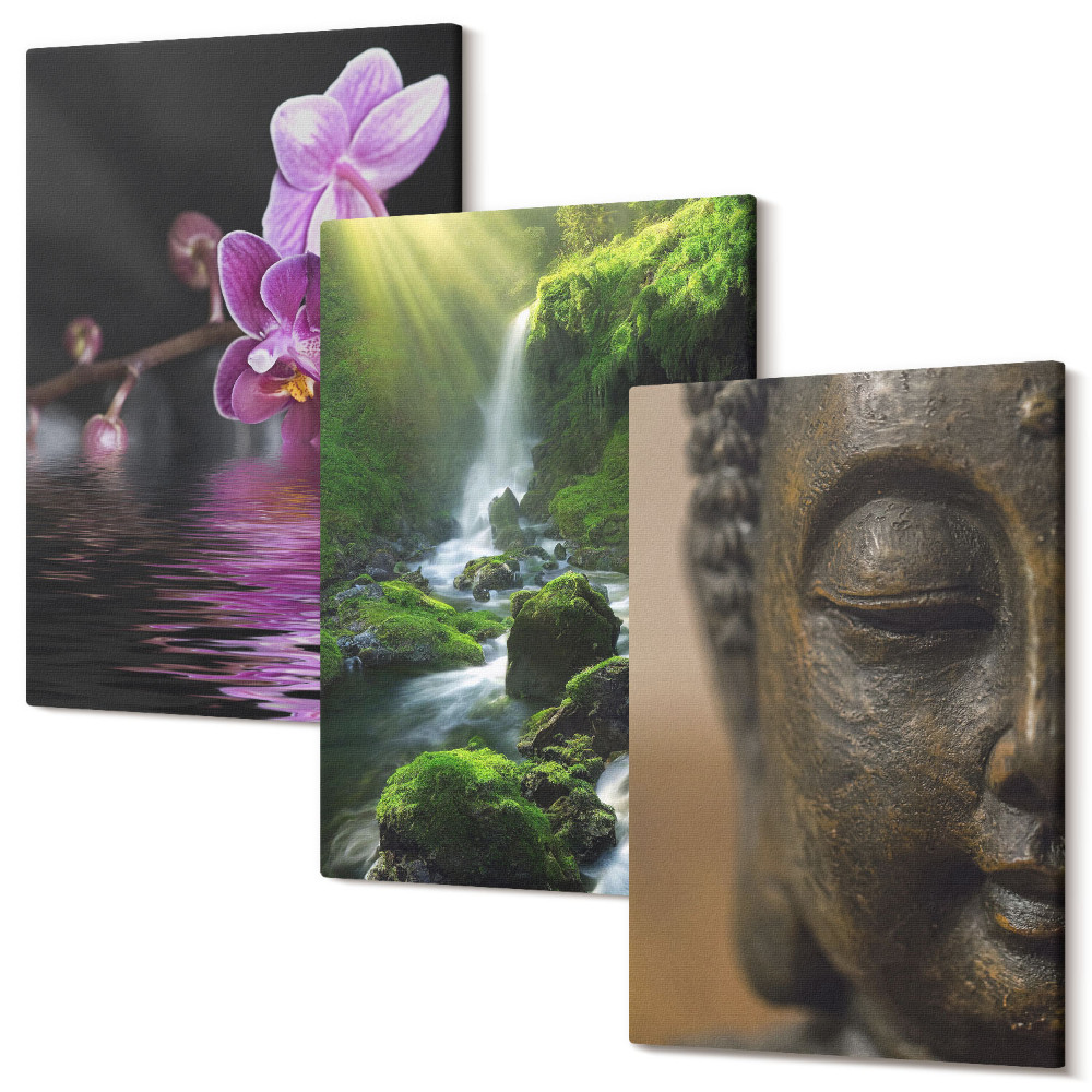 Sada 3 obrazov Kvety vo vodopáde so zelenými kameňmi Budha