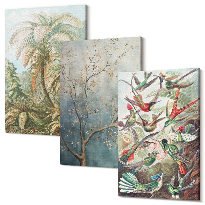 Sada obrazov na stenu triptych Tropické rastliny a farebné vtáky v prírode