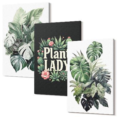 Sada 3 obrazov Tropické rastliny s nápisom Plant Lady v zelenej farbe