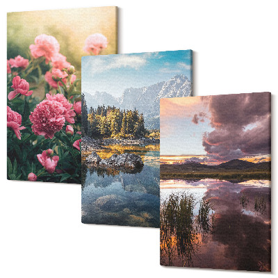Sada obrazov na stenu triptych Kvety v záhrade, hory a pokojná hladina vody