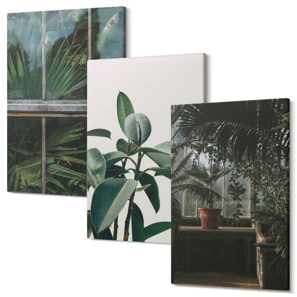 Sada 3 obrazov Zelené listy na okne a rastliny vo vnútri