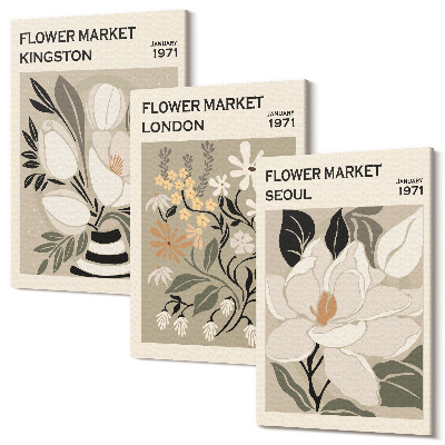 Sada obrazov na stenu triptych Retro kvety z rôznych miest po celom svete