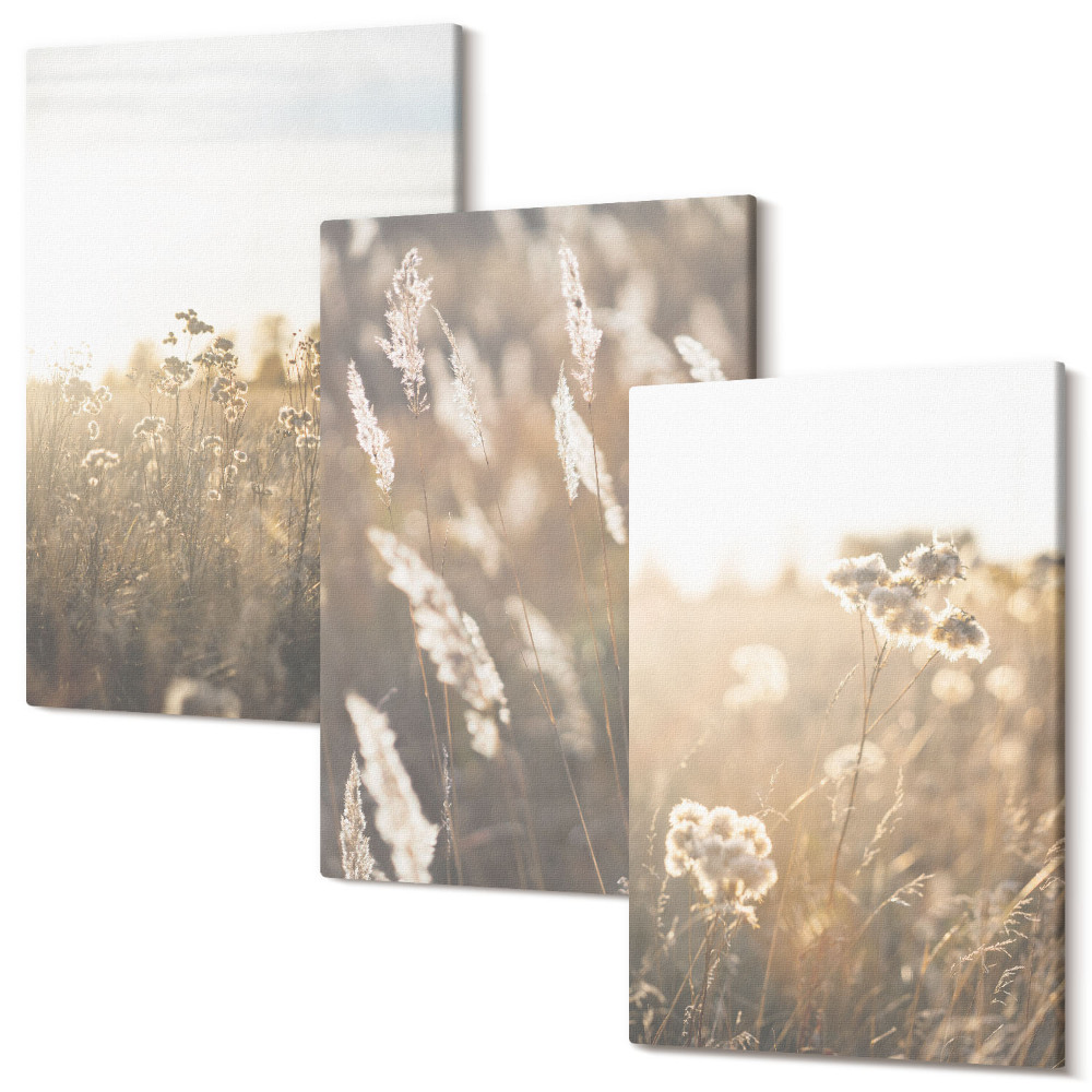 Sada obrazov triptych Krajina s trávami a kvetmi v teplých odtieňoch