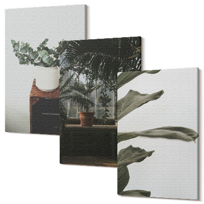 Sada 3 obrazov Rastliny v kvetináčoch s rustikálnymi listami