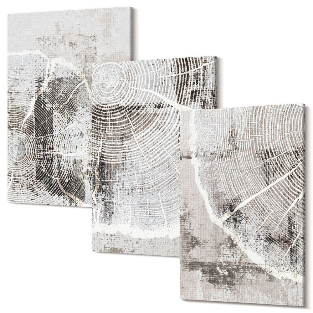 Sada obrazov na stenu triptych Vzory dreva v odtieňoch sivej a bielej
