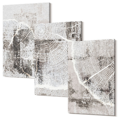 Sada obrazov na stenu triptych Vzory dreva v odtieňoch sivej a bielej