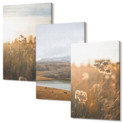 Sada 3 obrazov Krajiny s lúkami, horami a jazerom v pozadí