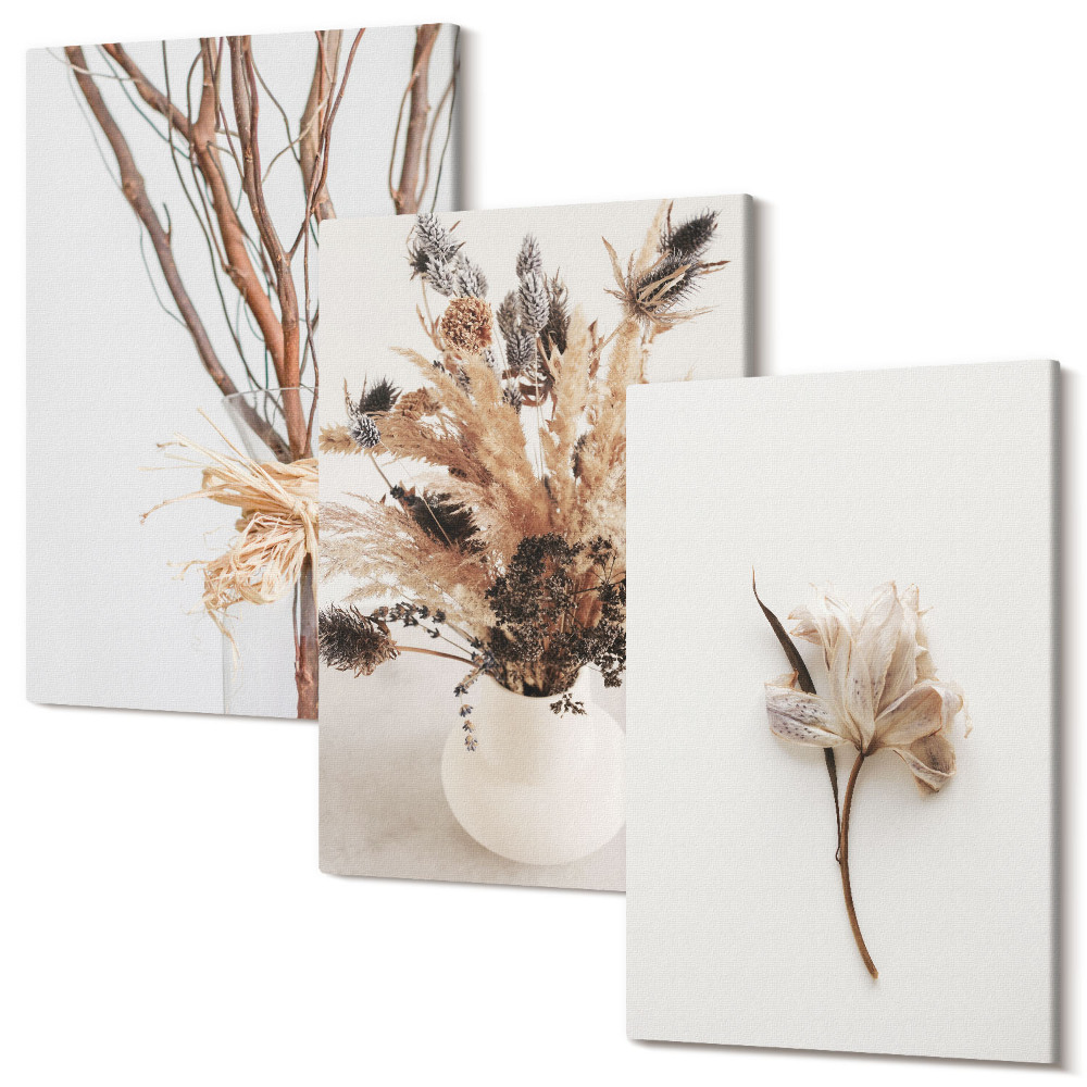 Sada 3 obrazov Kvety a konáre v minimalistickom prírodnom štýle