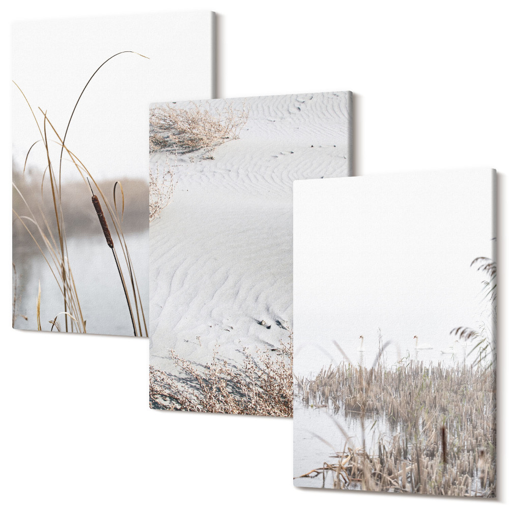 Sada obrazov triptych Jemné letné výhľady na vodnú vegetáciu