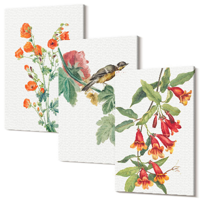 Sada 3 obrazov Maľované retro kvety a vtáčik na konári