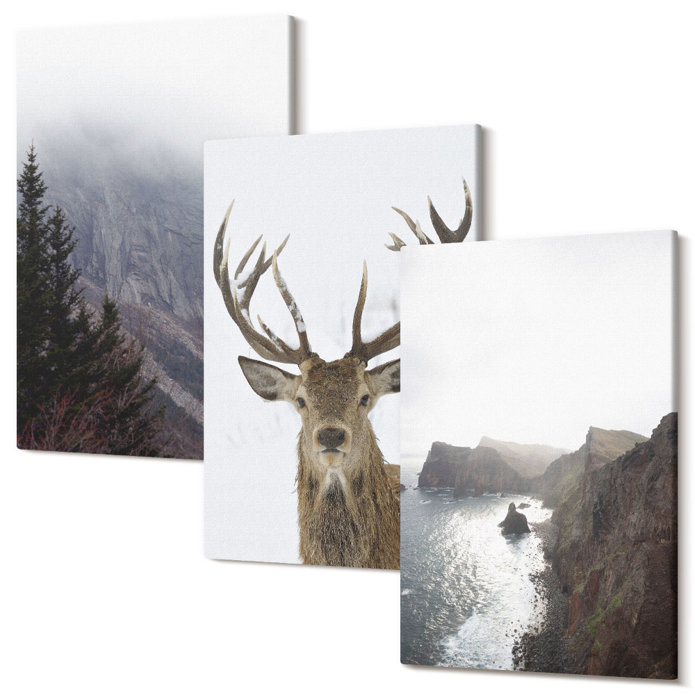 Sada obrazov triptych Horská krajina s hmlou, vodou a jeleňmi