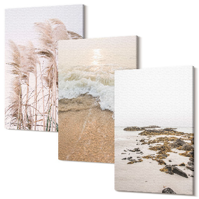 Sada 3 obrazov Plážové trávové vlny a prímorské kamene boho