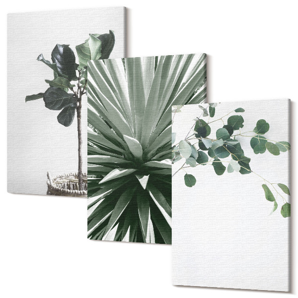Sada obrazov triptych Zelené rastliny v minimalistickom štýle