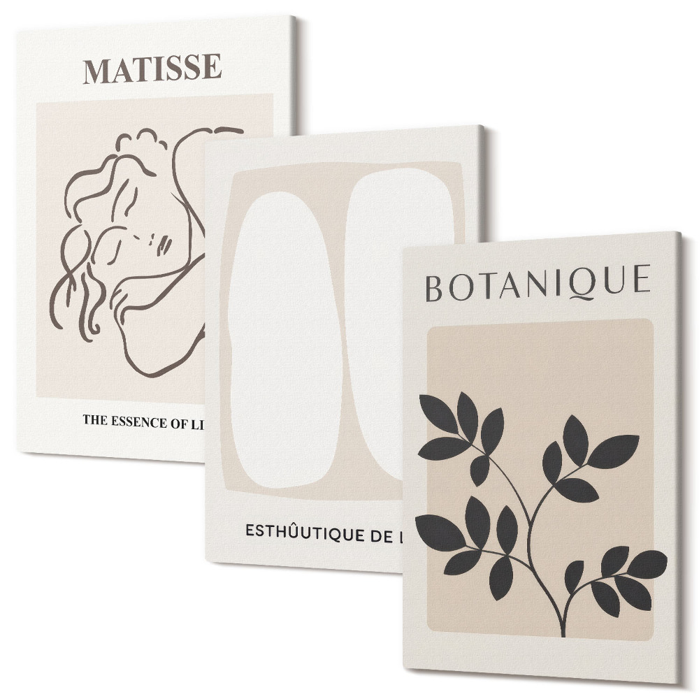 Sada 3 obrazov Štýlové minimalistické obrazy s rastlinnými motívmi od Matisse