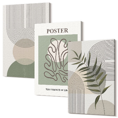 Sada 3 obrazov Plagát s geometrickými abstraktnými botanickými vzormi