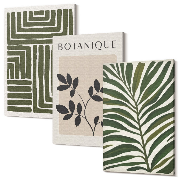 Sada obrazov triptych Botanické kompozície v štýle boho minimalizmu