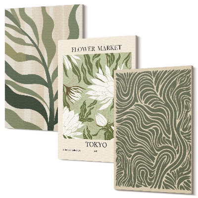 Sada obrazov triptych Rastlinné vzory, botanické dekorácie, boho štýl
