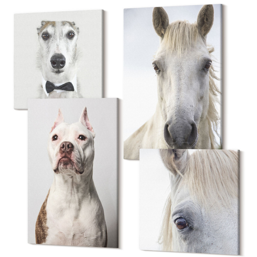 Sada obrazov kvadryptych Zaujímavé portréty psov a koní v elegantnom štýle