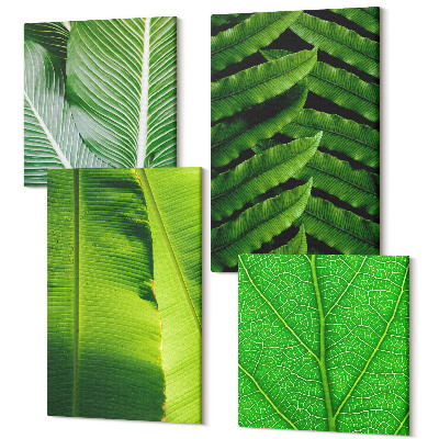 Sada obrazov na stenu kvadryptych Detailné zábery tropických listov