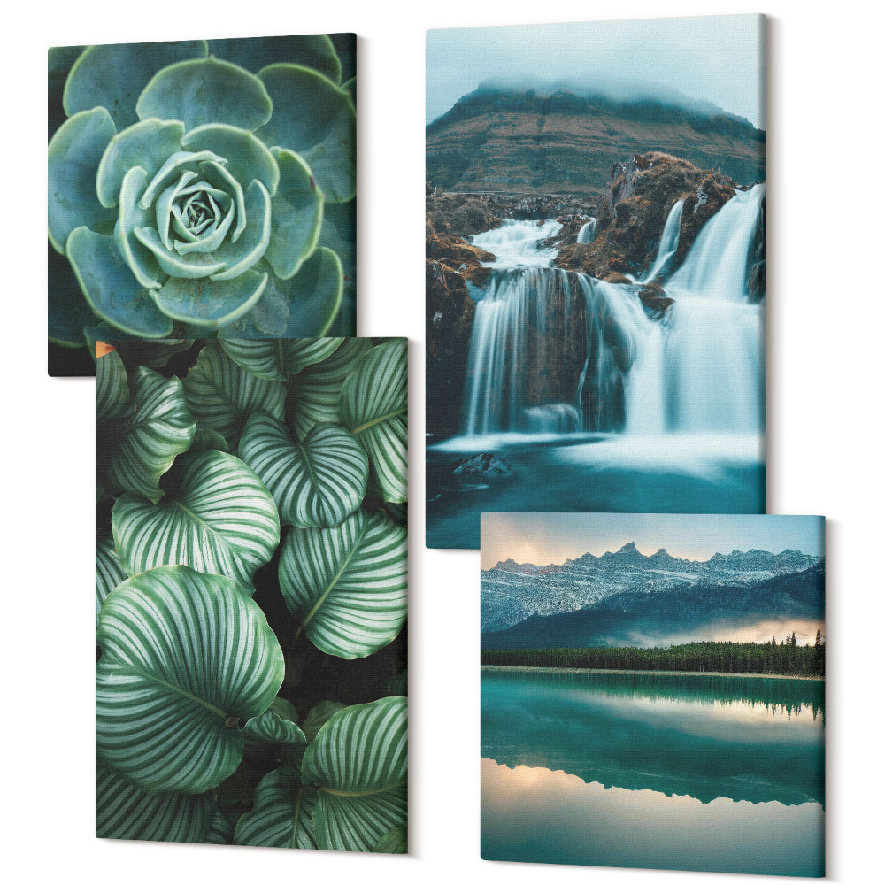 Sada obrazov na stenu kvadryptych Detailné zábery sukulentných rastlín a listov