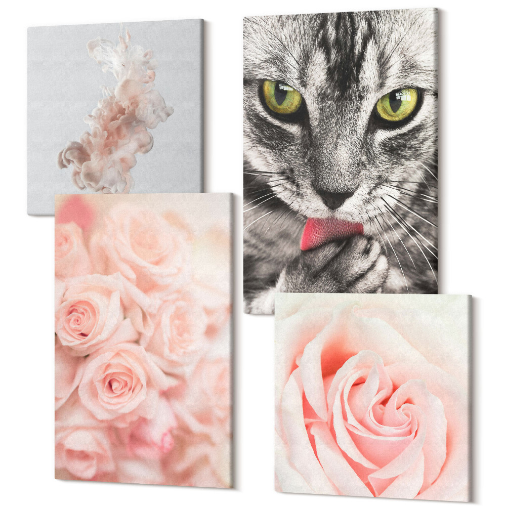 Sada obrazov kvadryptych Sivá mačka jemné ruže jemná abstrakcia