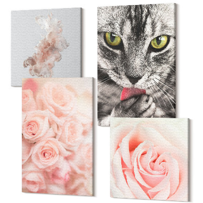 Sada obrazov kvadryptych Sivá mačka jemné ruže jemná abstrakcia
