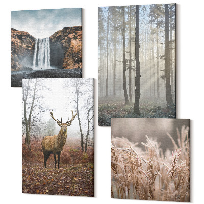 Sada obrazov na stenu kvadryptych Lesná krajina divoká príroda jeleň