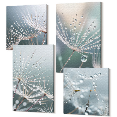 Sada obrazov na stenu kvadryptych Kvapky vody na jemných výhonkoch púpav
