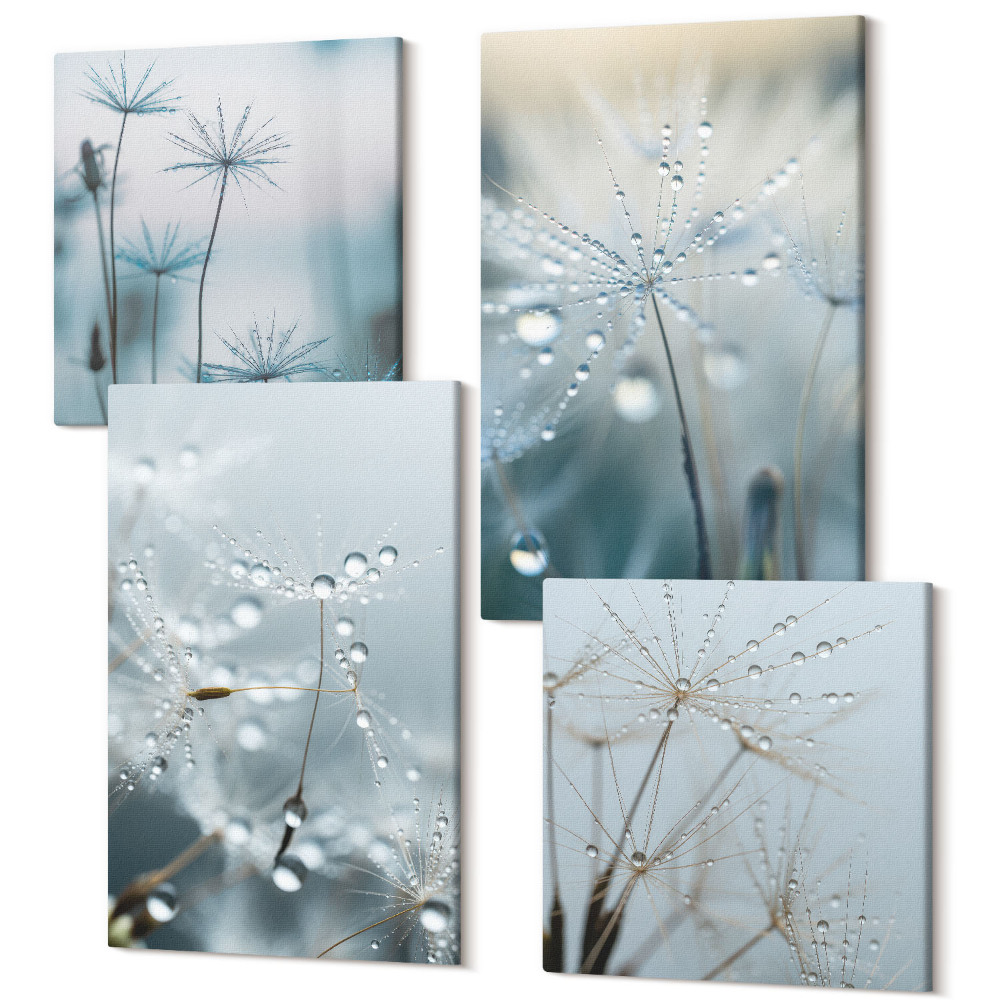Sada 4 obrazov Kvapky rosy na jemných púpavách