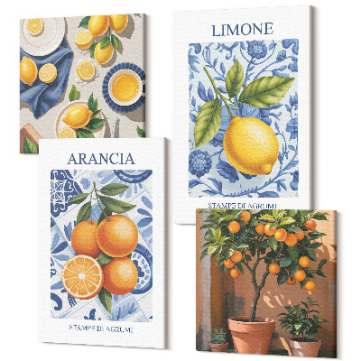 Sada obrazov na stenu kvadryptych Vintage ilustrácie citrusových plodov
