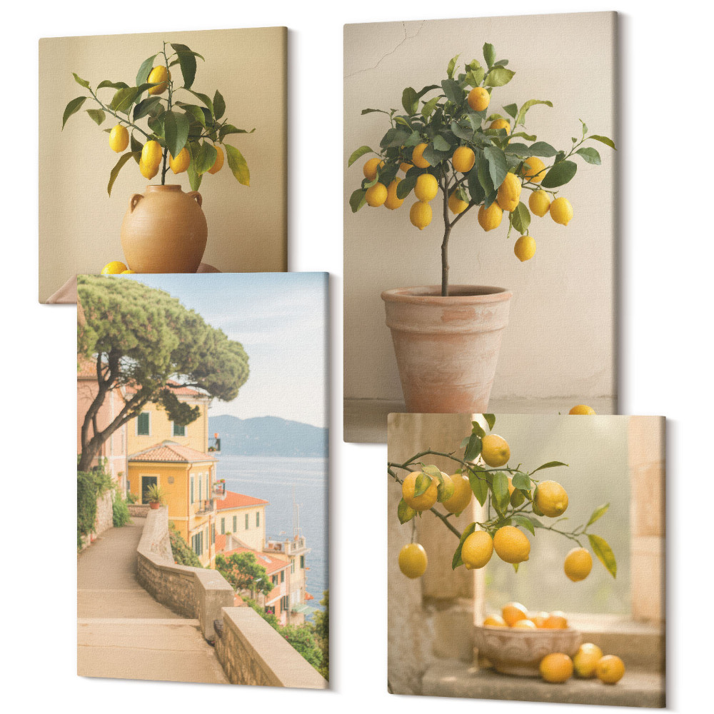 Sada 4 obrazov Citrónové stromy v kvetináčoch a na okne
