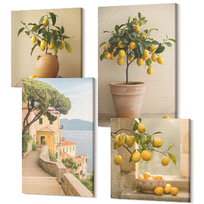Sada 4 obrazov Citrónové stromy v kvetináčoch a na okne