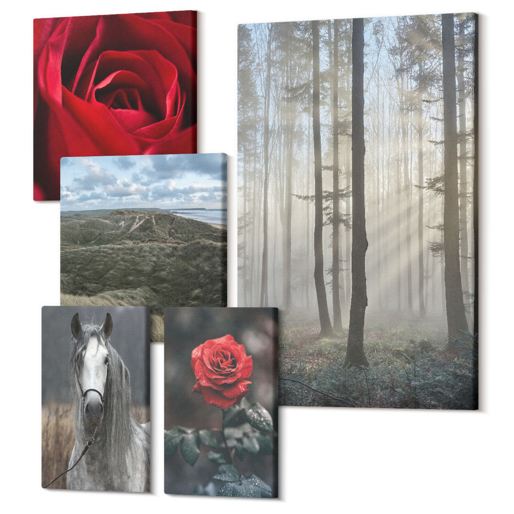 Sada obrazov pentaptych Príroda a kvety v rôznych perspektívach a štýloch