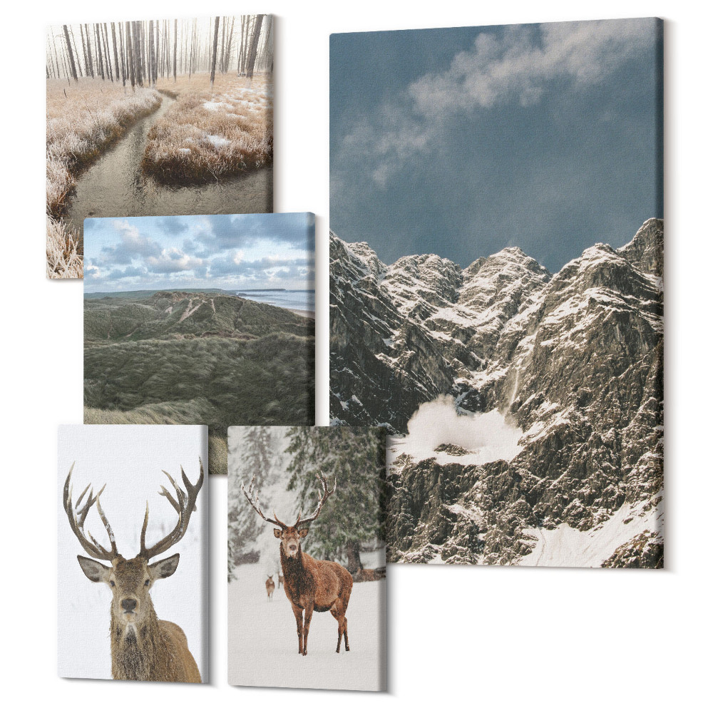 Sada obrazov pentaptych Divoká príroda a majestátne horské krajiny