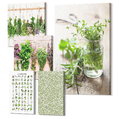 Sada 5 obrazov Bylinkové inšpirácie v prírodnom dekoratívnom štýle