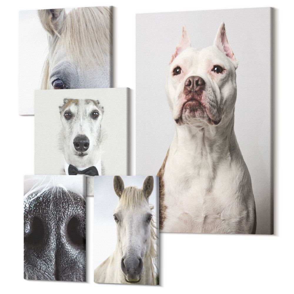 Sada obrazov pentaptych Portréty domácich miláčikov v modernom štýle