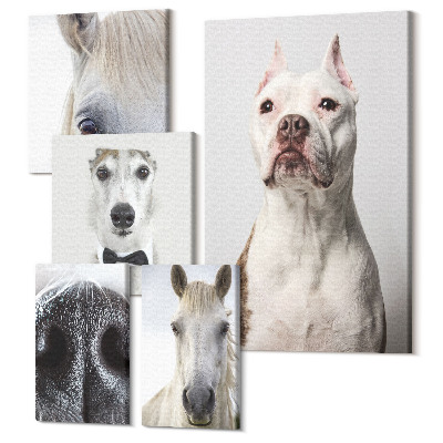 Sada obrazov pentaptych Portréty domácich miláčikov v modernom štýle