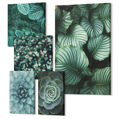 Sada 5 obrazov Rastlinné motívy s listami a sukulentmi v prírodnom štýle
